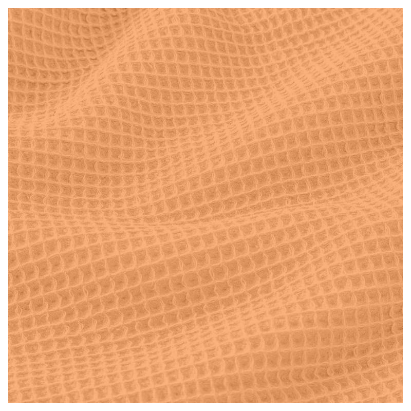Honeycomb Melon